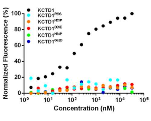 四川单周期试管移植费用明细,四川试管移植成功经验视频