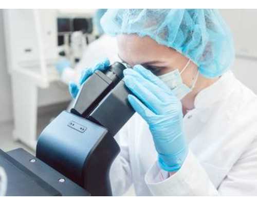 借卵多少钱一颗_国内借卵子中心,肇庆能做试管借卵男孩排名哪家强？附详细介