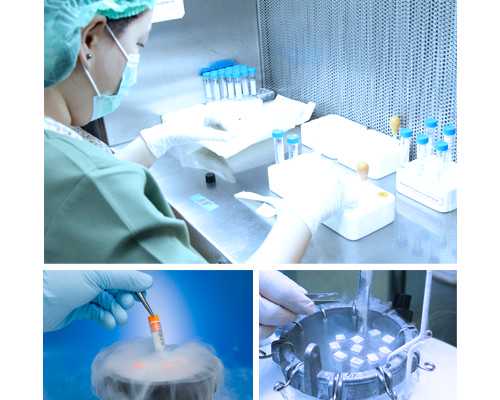 哪些人可以代怀_哪家代怀公司最好,宁夏供卵代怀试管生子机构公开,2026
宁夏供