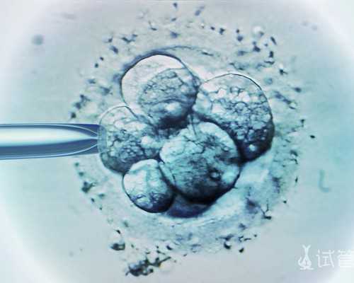 四川哪里有靠谱的代孕女,四川达州试管婴儿双胞胎几率多少