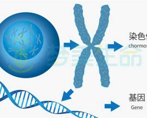 医院可以借卵生子_借卵合法吗,安徽借卵试管不排队医院排名名单？附详细介绍