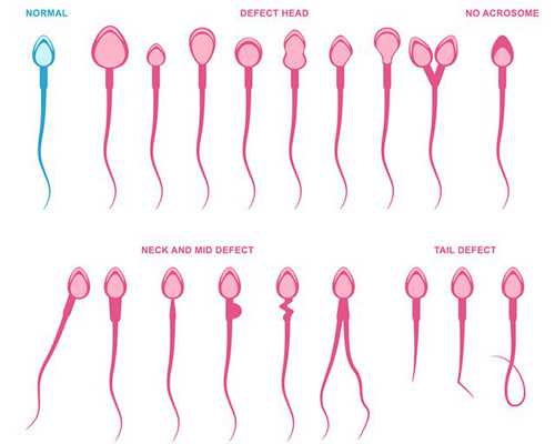 分享四川同济医院试管经历,四川一妇婴试管成功经验分享