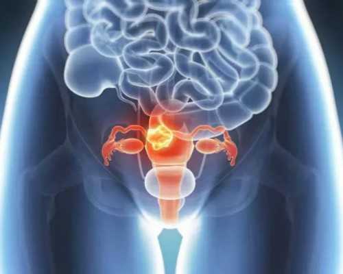 何时有合法代怀_代怀机构排名,阜新供卵试管婴儿,供卵试管婴儿龙婴代怀