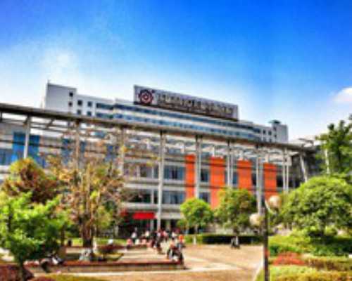 巴彦代生儿子,做一次试管婴儿整个流程需要多久？有些什么流程？-打hpv疫苗后