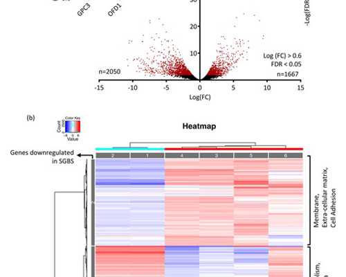 成都哪里有供卵的,成都做试管大概费用多少价格贵不贵？