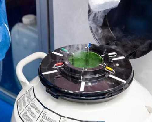 成都代生包女儿费用,北京不孕不育医院咨询网_成都试管机构哪家好成功率有多