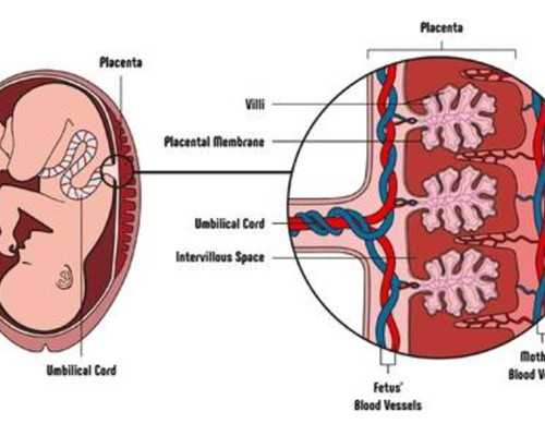 菏泽试管代怀|2026昆明助孕机构排名11家热门三甲试管婴儿医院推荐