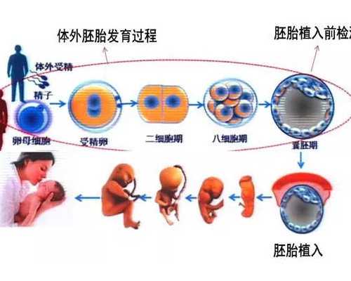 妻子代生,试管婴儿移植后长痘痘怎么回事？真不是移植失败的前兆？_孕期b超医