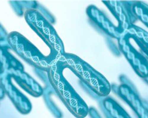 成都借卵中心,【成都试管包性别费用】成都试管助孕包性别价格明细