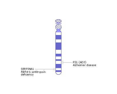 成都做代孕靠谱吗,上海九院试管婴儿成功率_成都这三家医院可以做试管婴儿生