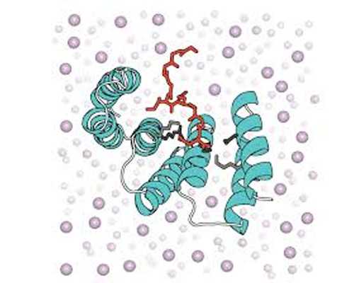 借卵子人工受孕生子_怎么找别人借卵子,宜宾市第二医院借卵试管多少钱？二十
