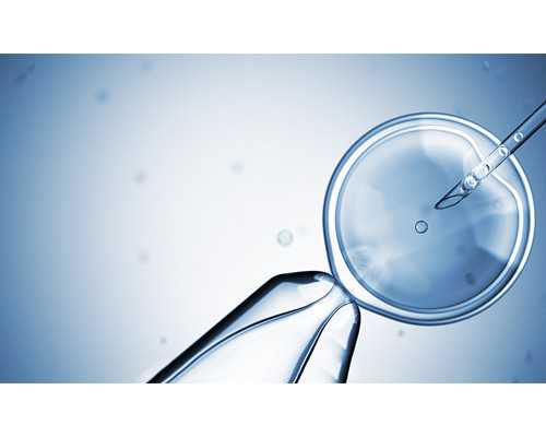 借卵子_哪里可以借卵助孕,上海供(借)卵试管婴儿医院排名,附助孕机构一览！