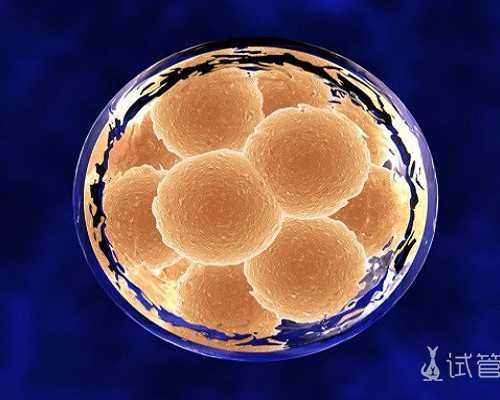 借卵试管的案例_借卵子生子的费用,北京三代借卵生男孩医院排名，2026供卵费用