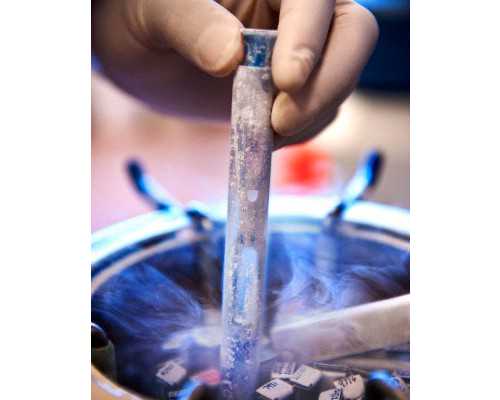 代怀生殖中心|天津供卵试管婴儿的费用（第一次捐卵有什么危害）