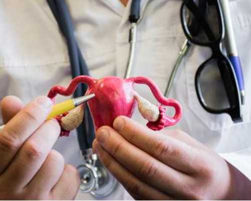 借卵生子有吗_借卵泡生的孩子像谁,北京朝阳医院借卵试管包男孩多少钱？十万