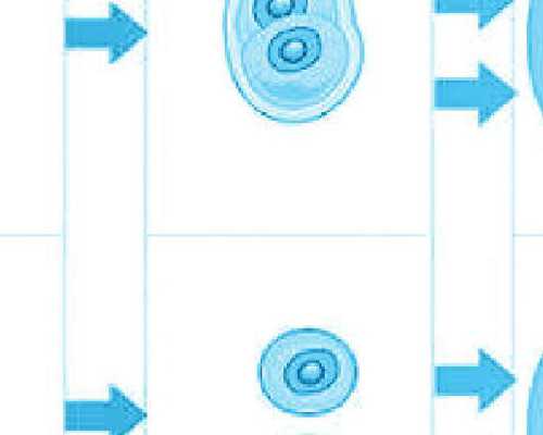 2026在四川湘雅做试管婴儿需多少钱？,四川做试管婴儿多少钱