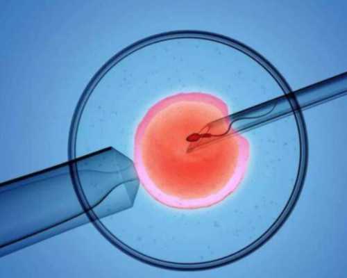 四川孕泰试管机构正规吗,四川九院养囊三级的能养成吗？