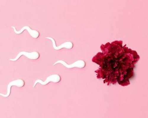 压箱底的清宫图片曝光，珍贵历史瞬间再现