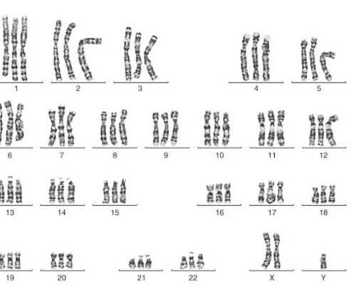 香港验Y染色体会出错吗？香港验Y染色体要注意什么？