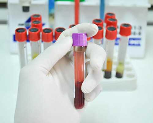 河北代怀咨询|温州供卵试管，国内哪里可以做供卵试管婴儿