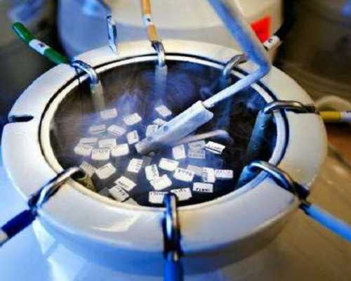 帮别人代生为法吗,北京十月阳光月嫂公司_上海供卵试管生子多少钱-囊胚4天晨