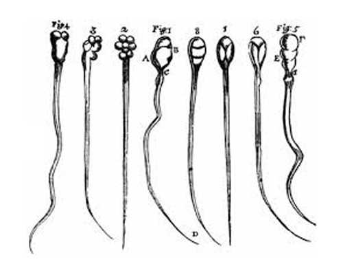 代生,试管婴儿能检查hpv吗？-孕妇做四维彩超在看医生写曰期标志分出男女_西安