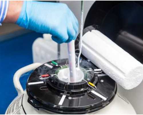 代怀男宝宝_代怀公司价格套餐,青海供卵代怀试管生子机构公开,2026
青海供卵生