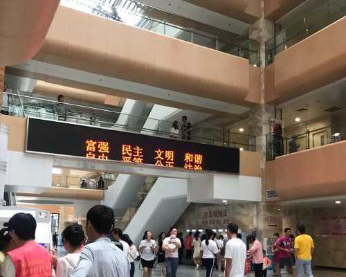 孕妇早期饮食指南：营养丰富的食物推荐及健康食物规划_孕妇早期饮食调理：