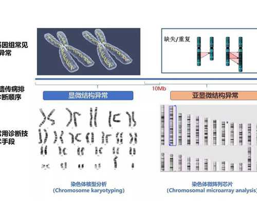 四川等供卵要多久,2026四川三代供卵生男孩医院一览表，看完便知如何选择