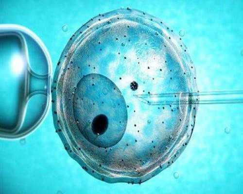 借卵医院_美国借卵生子机构,借卵做试管的费用可以报销吗？附试管报销政策