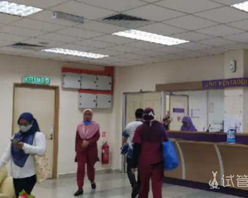 借卵生子亲子鉴定_绝经借卵,赤峰第三代借卵生子试管全过程！看完你就懂了