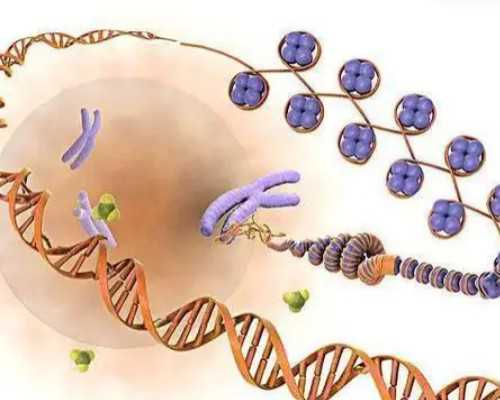 太原代生儿子价格,试管短方案促排要注意什么？有哪些注意事项？-上海哪有可