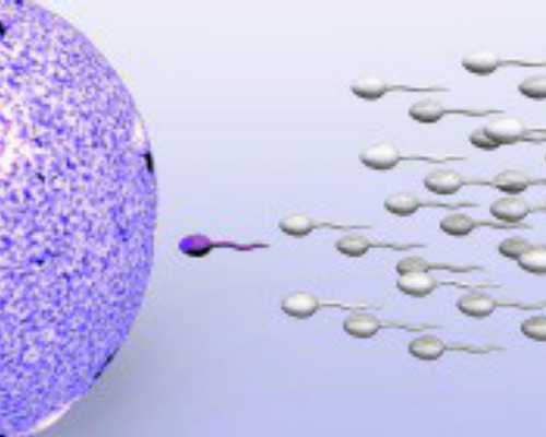 四川高端生孩子医院,四川宜宾到哪个地方可以做不孕试管婴儿四川宜宾到哪个