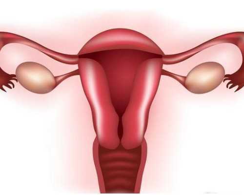 四川人民医院试管费用收取标准,四川月子中心收费标准