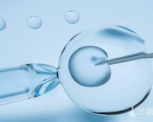 成都生殖中心供卵,【成都供卵试管多少钱】7+6 保胎正能量 胎心胎芽都有了