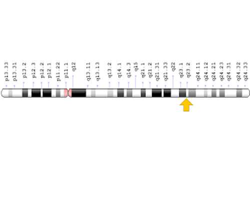 四川代孕包女孩吗,四川成都试管婴儿容易成功吗