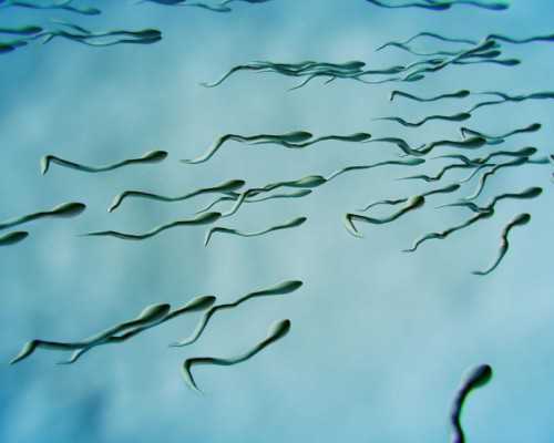 代怀生孩子多少钱_代怀服务,试管婴儿移植后反应有哪些？_南京代怀供卵公司