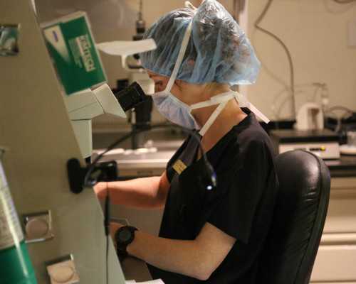 成都代妈试管代怀,试管婴儿后唐氏儿概率高吗？成都唐氏筛查医院费用