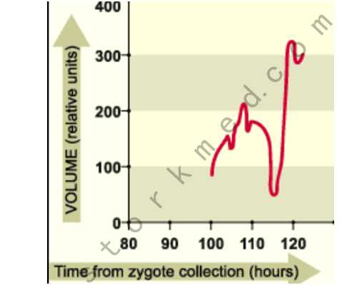 四川试管能要龙凤胎吗,四川省妇幼保健院做第三代试管婴儿选性别费用要多少