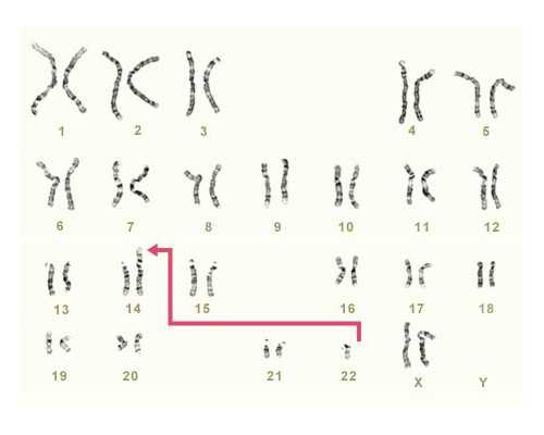 安徽第三代试管婴儿排名详细介绍