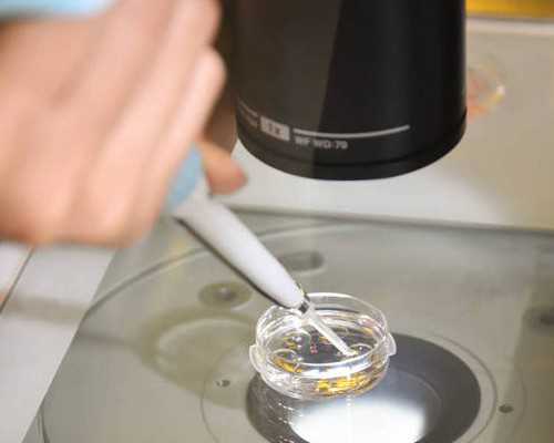 借卵生子什么意思_借卵助孕找世纪,阳泉三代试管助孕借卵生子费用大约需要多