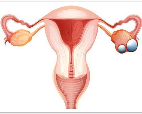 哪有代怀公司_双胞胎代怀网,2026
山东第三代试管包生男孩费用分析-附代怀生子