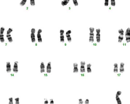 2026四川高速公路收费标准查询四川高速公路按几类车收费