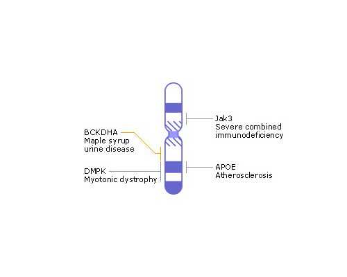 成都靠谱代怀机构,从成都赴泰国做试管婴儿，有哪些步骤？