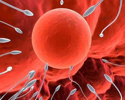 找个代生娃儿,供卵试管医院排名[北京供卵哪家医院好]_上海供卵试管医院有哪