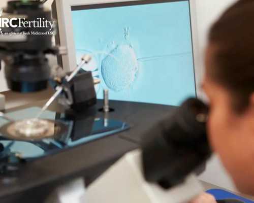 高龄试管多是借卵_借卵试管利弊,肇庆能做试管借卵男孩排名哪家强？附详细介