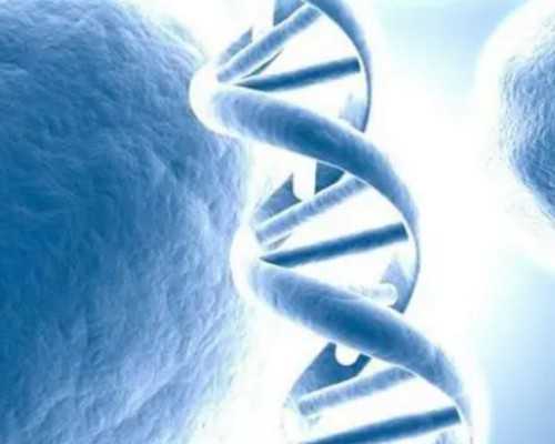 借卵生子后悔了_借卵中心,2026曲靖借卵试管医院排名？附详细试管医院介绍？