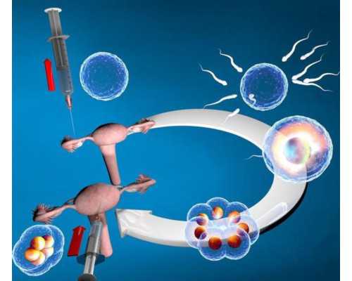 第三代生殖技术,试管婴儿移植前可以泡脚吗_试管一代光移植费用_卵巢早衰的最