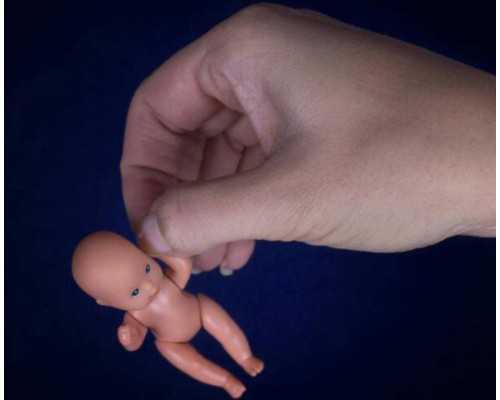 四川借精生子多少钱程序,四川三台县天气（四川三台县）