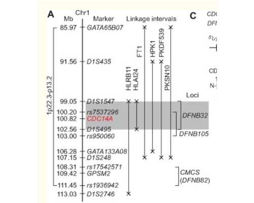 四川试管助孕流程,四川试管助孕怀龙凤胎(四川试管婴儿成功率排行)
